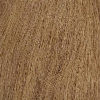Light Chestnut Brown